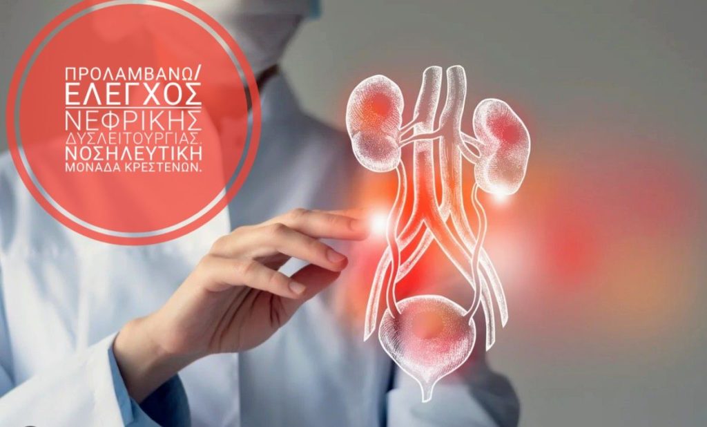 623284595 863470823177830 3231503371800219393 N