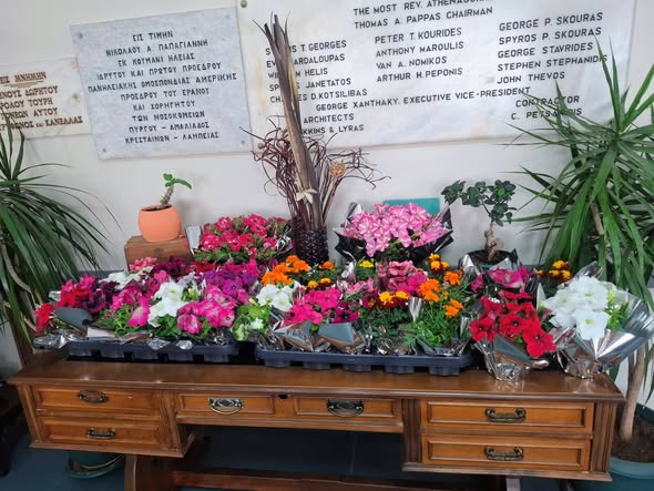 649013254 893892413469004 758116726244470429 N